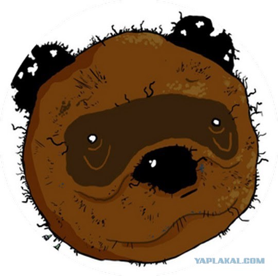 Жители поселка в Татарстане попросили власти убрать елку – «портит настроение своим видом»