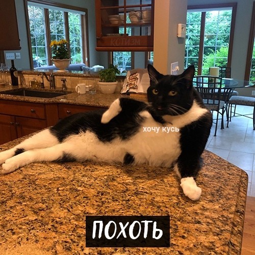 Семь смертных грехов