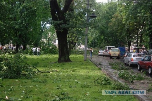 Ураган во Львове.