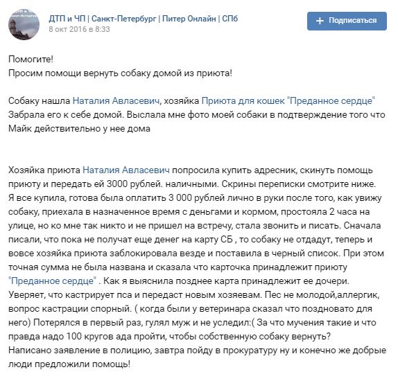 Помогите вернуть кота! Приют "Преданное сердце" украл кота и не отдает!-2