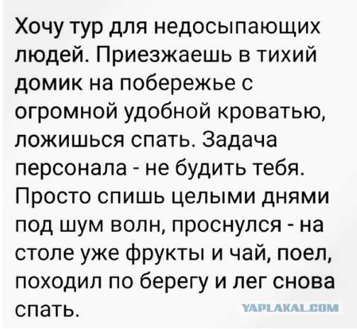Чуток картинок 08.11.19