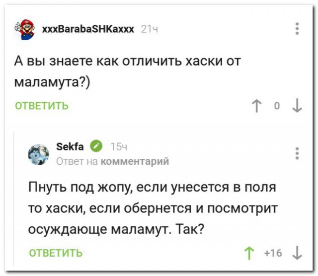Картиношный винегрет с щепоткой упоротого юмора