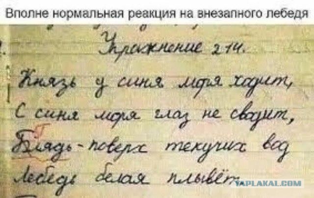 Фотки и картинки: юморные и красивые, забавные и милые 21.09.20
