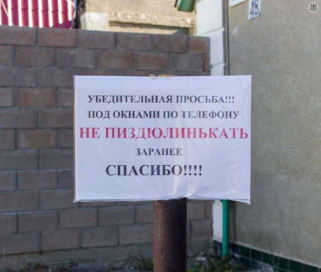 Фотки и картинки: юморные и красивые, забавные и милые 09.10.20