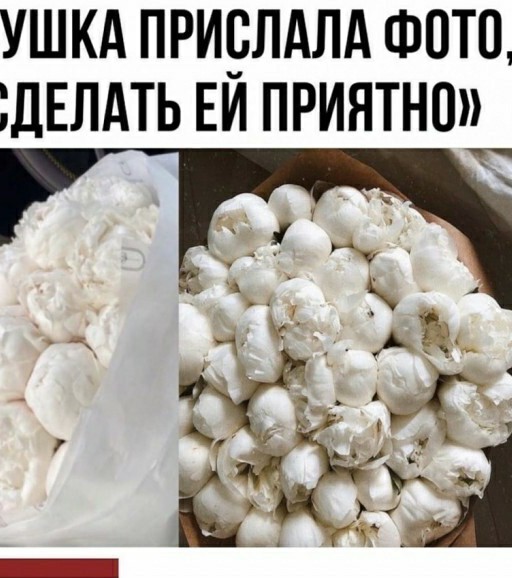 Опять 25! 26.12.2020