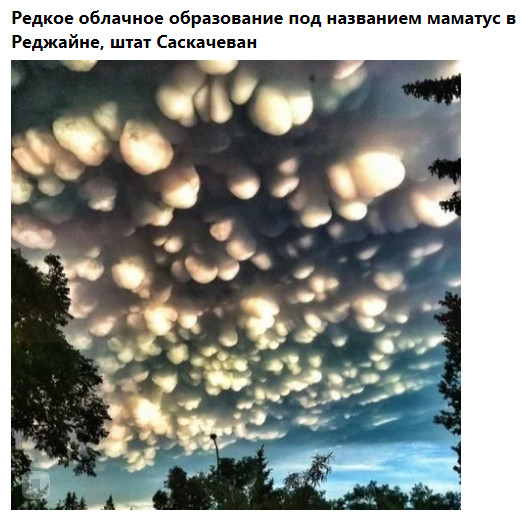 Фото-винегрет. Картинки ниапчём и обо всём