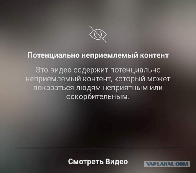 Бредзона 31.01.21