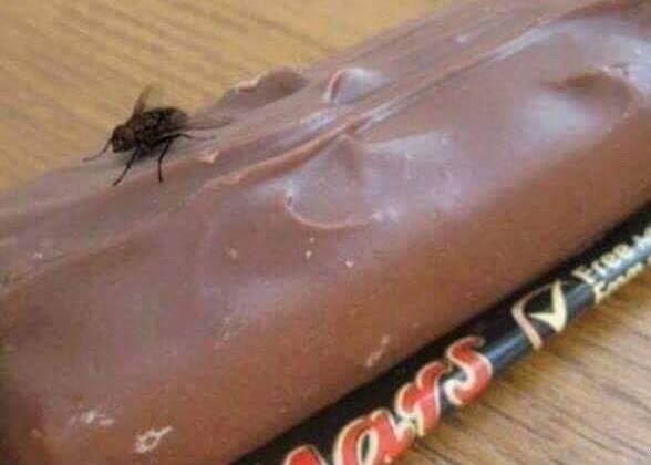 На Марсе обнаружены мухи