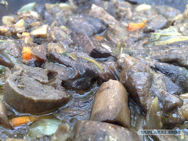 Моя Карелия