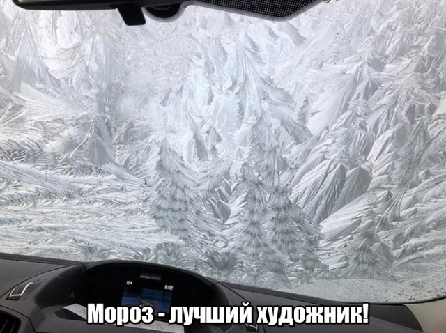 Есть два типа девушек и другие картинки 20.12.21