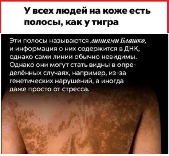 Картинки с надписями и всякие жизненные фразы