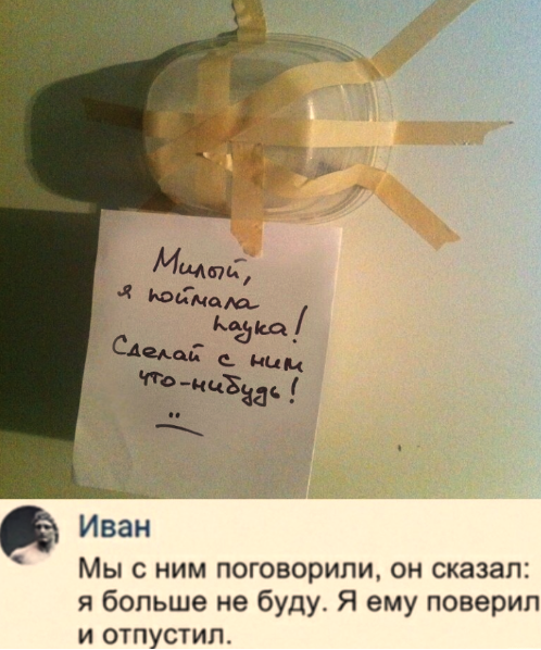 Ушла жена