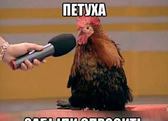 Медведев заявил о «вырождении» лидеров стран Европы