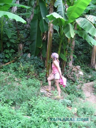 Где бюджетно отдохнуть?