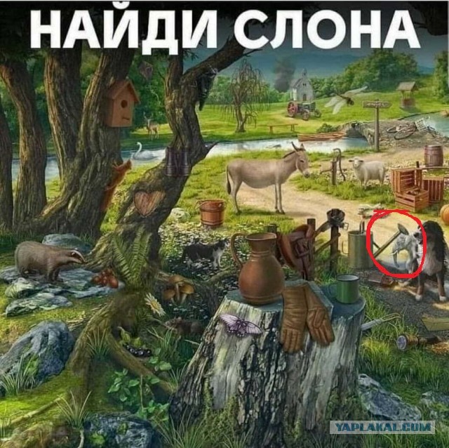 Картинки и мемы для настроения - 31