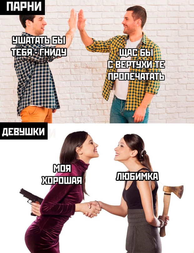 Весёлый полтишок 19.01.23