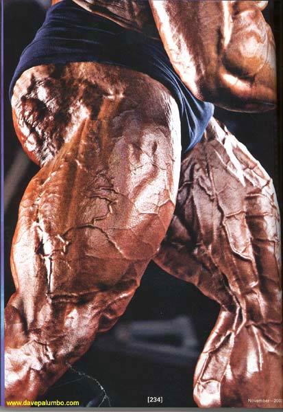 Не рой другому яму. Итоги