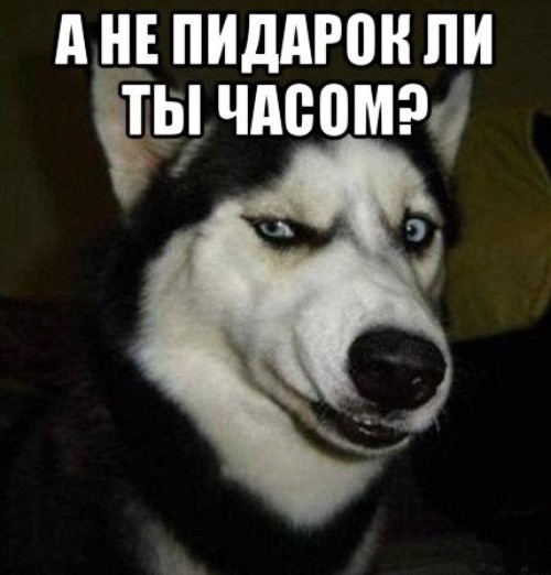 Компания Anheuser-Busch потеряла 27 млрд долларов из-за рекламы с трансгендером
