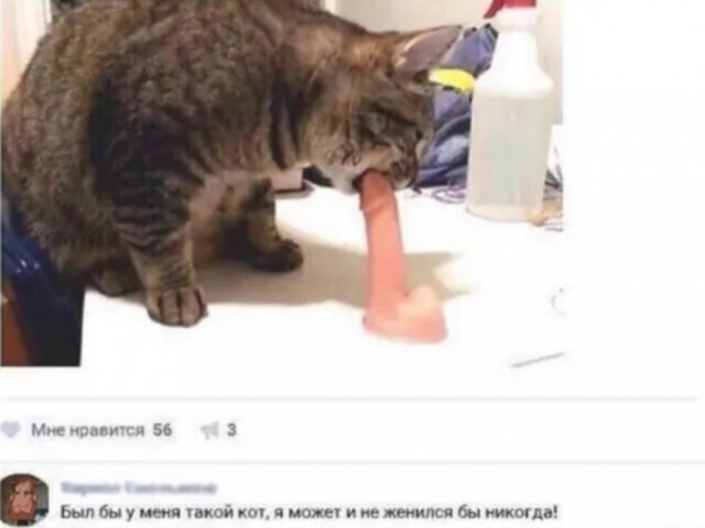 Так себе картинки 28.07.23