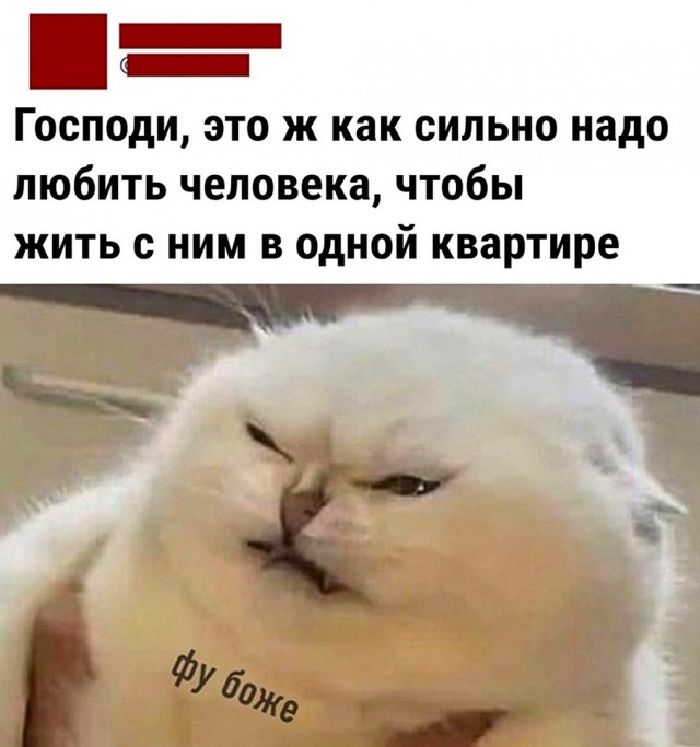 Куда делись все нормальные мужики