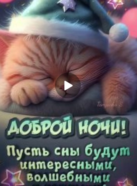 Жизнь домашнего приюта "Котоленд" 431