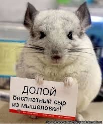 Друг купил дом, коллеги