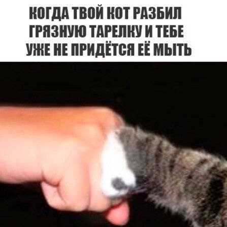 Никакие картинки