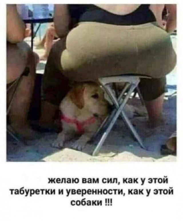 С новым годом, друзья!