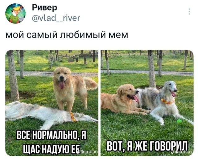 Так себе картинки 24.10.24