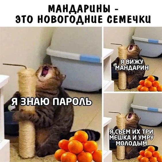 Так себе картинки 01.12.24