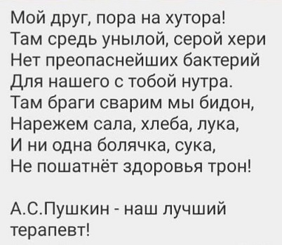 Очередь за забором
