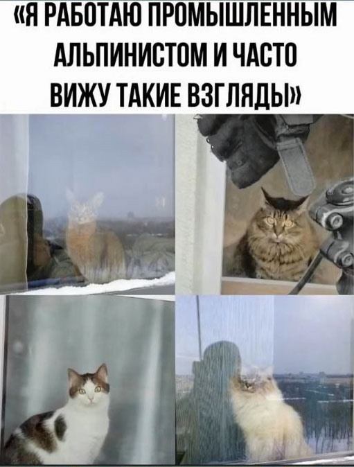 Так себе картинки 14.02.25