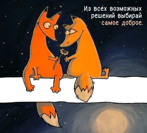 Лисухи и не лисухи