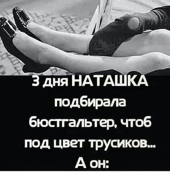 К котовторнику: подборка картинок-баянов с котиками и про котиков. Выпуск 6