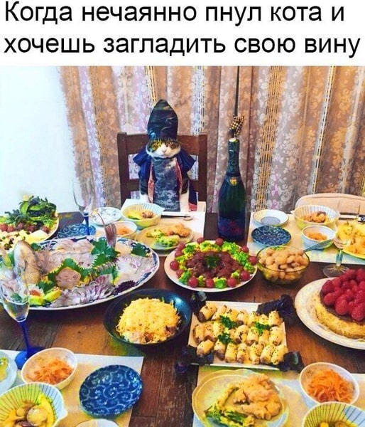 К котовторнику: подборка картинок-баянов с котиками и про котиков. Выпуск 10