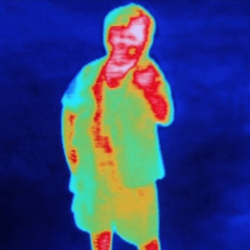 Чужой и Хищник с точки зрения биологии