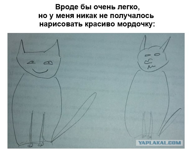 Как правильно рисовать кота