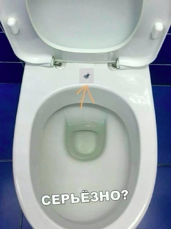 Так себе картинки 29.08.25