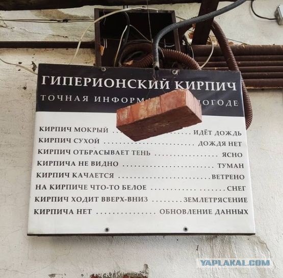 Ведьмина погремушка