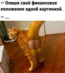 Мизулина и Шаман поженились в Донецке