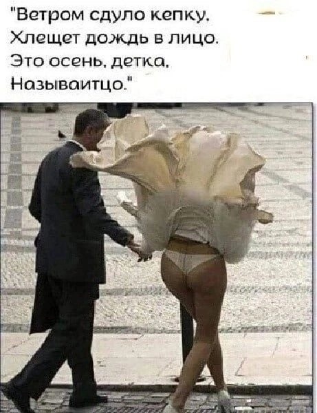 Прикольные и просто красивые картинки 14.11.2025
