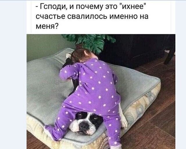Воскресные картинки