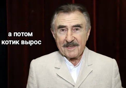 Просто красивый котенок
