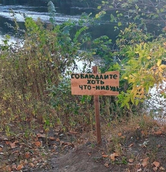 Картинки старые и новые на 15.04.26
