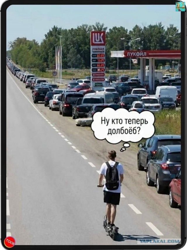 Так себе картинки 16.07.26