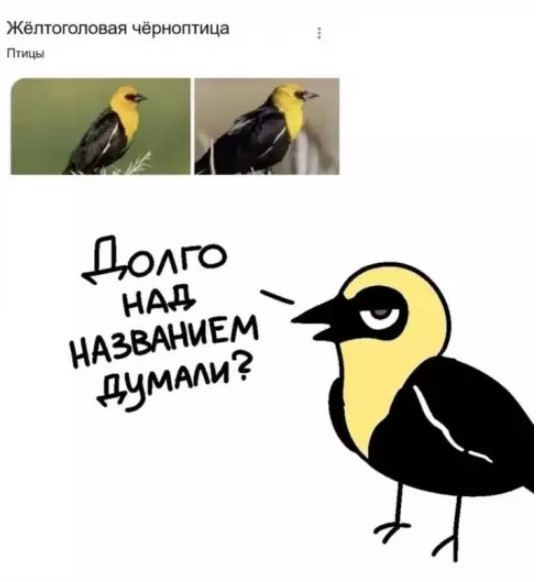 Картиночки, баянчики 19 июля