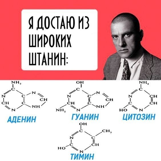 Новый образ певицы "Глюкозы"