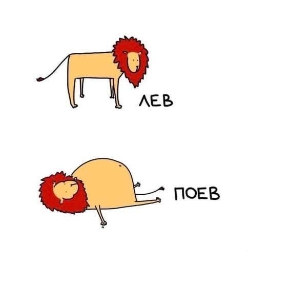 Так себе картинки 29.07.26