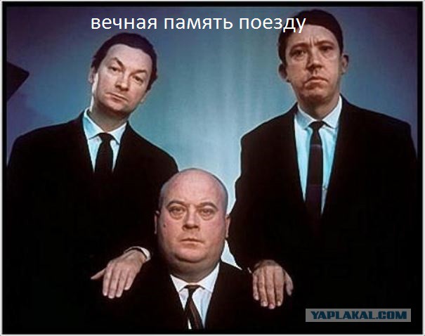 Кошка попала под поезд на глазах у ребенка