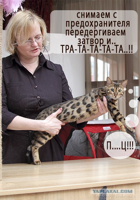 Позитивные картинки и комментарии.